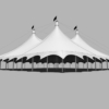 Big Top Grand Event Circus Festival Tent 3D Model 60x45m & 45x45m